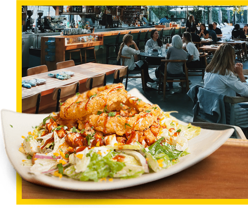 calamari and salad